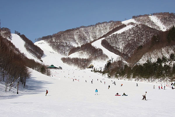 2019年1月12~14日 みんなで滑ろう尾瀬岩鞍